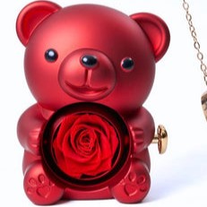Oso Eterno & Collar Personalizado