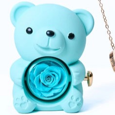 Oso Eterno & Collar Personalizado
